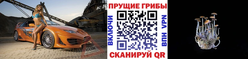 Купить  Красновишерск  Галлюциногенные грибы GOLDEN TEACHER 